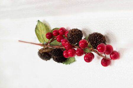 Branch of red berries on a branch with green leaves and conesの写真素材