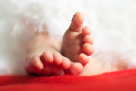 Feet of a newborn babyの写真素材