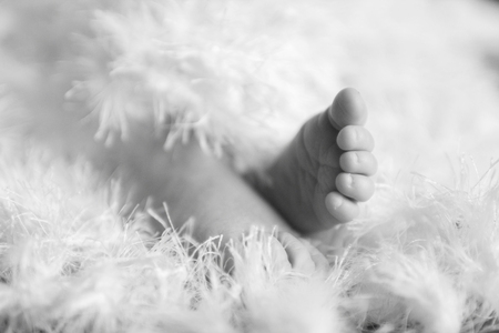 Feet of a newborn babyの写真素材