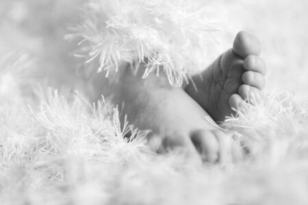 Feet of a newborn babyの写真素材