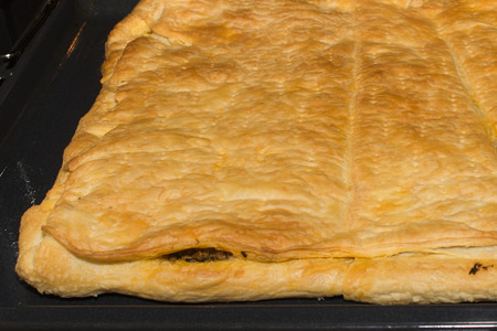 Meat pie in the ovenの写真素材