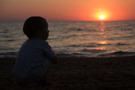 hild sitting on his haunches and enjoy the sunset on the seaの写真素材