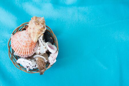 seashells in a basket on a blue backgroundの写真素材