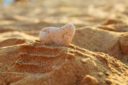 stone in the form of a heart in the sand on the beachの写真素材