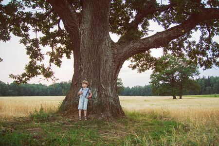 kid stands near a treeの写真素材