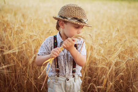 boy walking on a field of ryeの写真素材