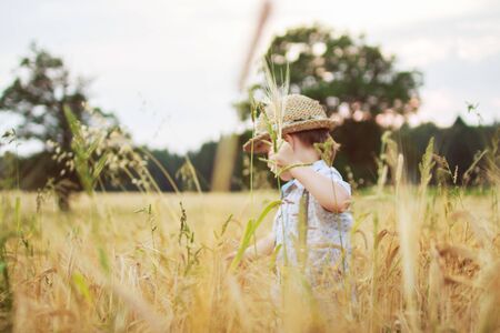 boy walking on a field of ryeの写真素材