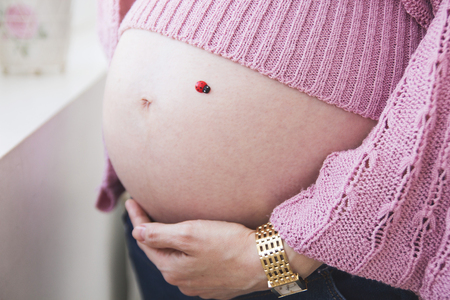 belly of a pregnant girl with a ladybugの写真素材