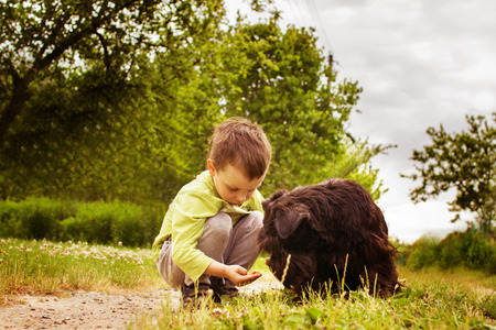 boy with a dog walking in the park. Child playing with the dogの写真素材