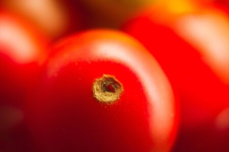 cherry tomato close upの写真素材