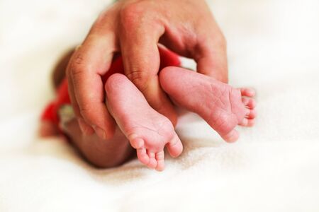 newborn feet on a white background in the father's handの写真素材