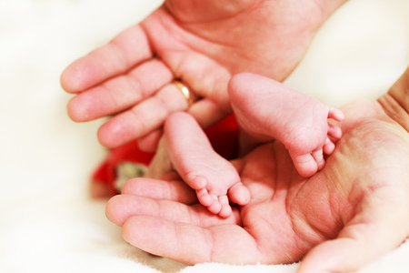 newborn feet on a white background in the father's handの写真素材