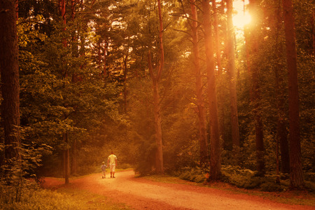 Dad and son walking in the forest at sunset. happy family outdoor.の写真素材