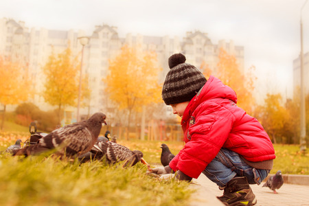 Boy feeding pigeons in the park. happy kid outdoorの写真素材