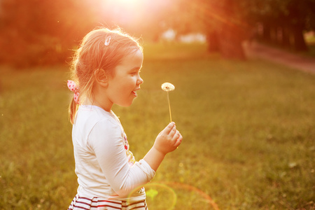 Little girl blowing on the dandelion at sunsetの写真素材