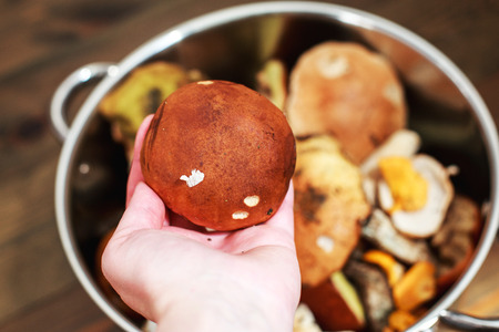 forest mushrooms in a basket on a wooden background. mushroom boletus in handの写真素材