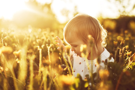little happy girl in a field with a dandelion in hand