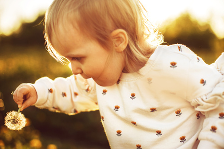 little happy girl in a field with a dandelion in handの写真素材