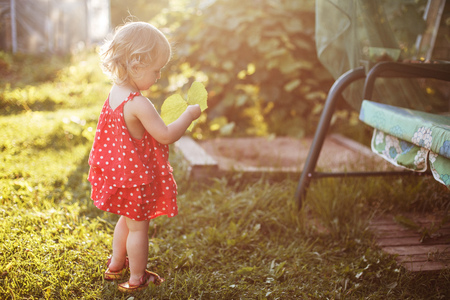 the girl walks in the yard with a leaf in her handの写真素材
