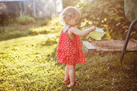 the girl walks in the yard with a leaf in her handの写真素材