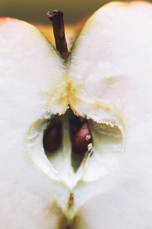half apple close up. cut apple backgroundの写真素材