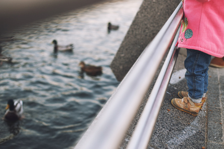 girl feed the ducks in the park.の写真素材