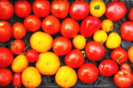 a lot of tomato in a box. Tomato backgroundの写真素材