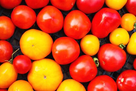 a lot of tomato in a box. Tomato backgroundの写真素材