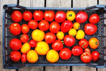 a lot of tomato in a box on a wooden backgroundの写真素材