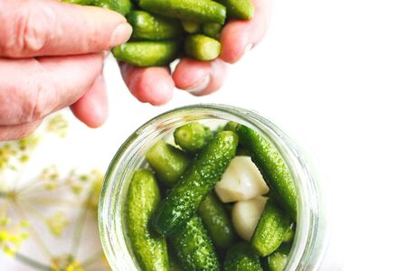 pickled cucumbers in a glass jar. gherkins cucumbers. woman pickles cucumbers on a white backgroundの写真素材
