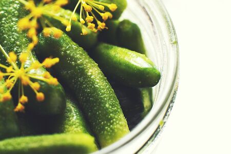 jar with pickled cucumbers on a white background. gherkins cucumbers top viewの写真素材