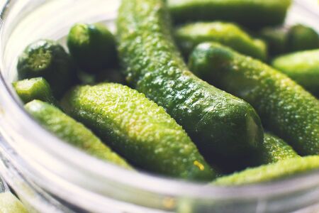 jar with pickled cucumbers on a white background. gherkins cucumbers top viewの写真素材