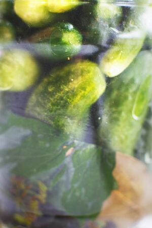 glass jar  with a pickled cucumbers. gherkins cucumbers  background.の写真素材