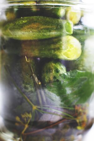 glass jar  with a pickled cucumbers. gherkins cucumbers  background.の写真素材