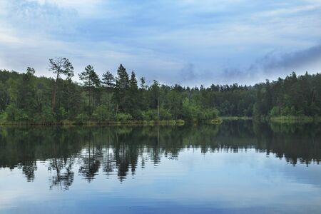 forest around the lake. reflection of trees in water. blue lakes on Narochの写真素材