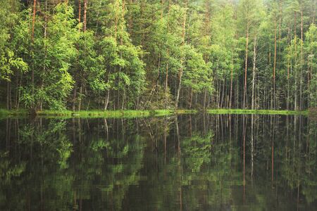 forest around the lake. reflection of trees in water. blue lakes on Narochの写真素材