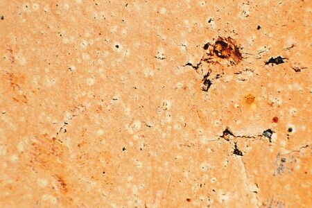 brick  close up. brick background. brick wallの写真素材