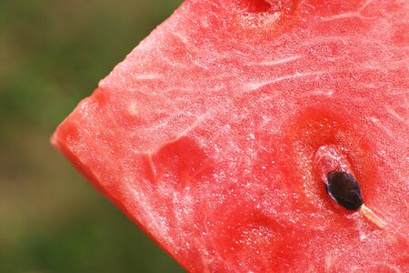 slice of watermelon on green background close-up. watermelon seed macroの写真素材