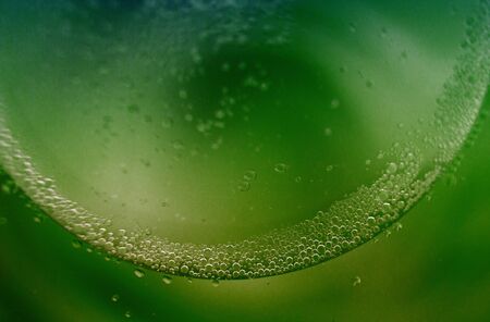 abstract green background with oil circles .  bubbles of water close up . oil bubbles in the water macro.  circle bubbles  backgroundの写真素材