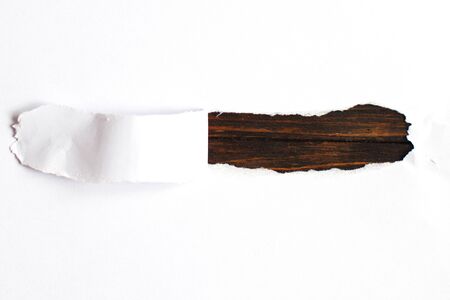 torn piece of white paper. place for textの写真素材