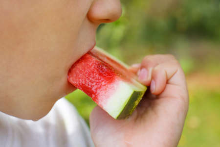 child boy eating a slice of watermelon on a background of green grassの写真素材