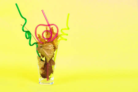 autumn leaf cocktail. autumn leaves in a glass with a curly straw on a yellow backgroundの写真素材