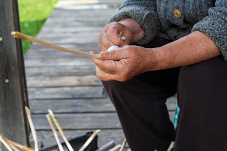 female hands peel garlic. old woman peels raw garlic in the rarden