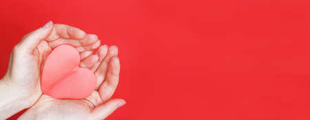 female hands hold a red heart on the palms isolated on a red background. Love, Wedding, Valentines day, 8 March concept. Copy space. your text. bannerの写真素材