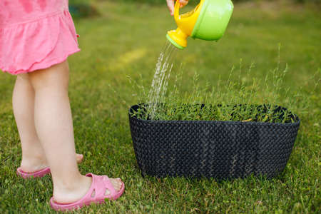 Cute little girl watering flowers in summer gardenの写真素材