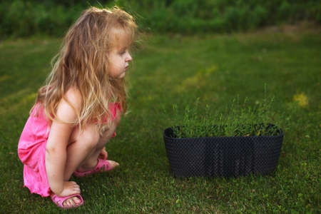 Little baby girl sits on the grass. copy spaceの写真素材
