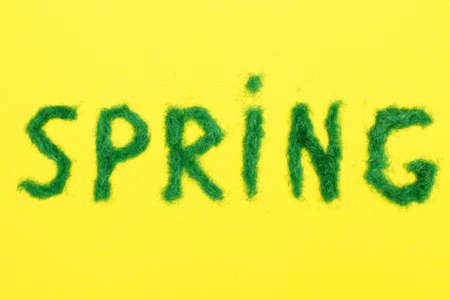 The inscription Spring from a decorative green grass on a yellow background.の写真素材
