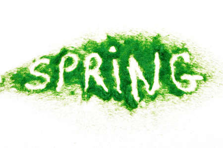 The inscription Spring from a decorative green grass on a white background.の写真素材
