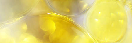 Gold Oil bubbles close up. a circles of water macro. abstract shiny light yellow background. bannerの写真素材