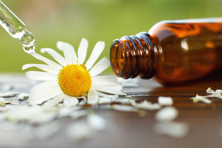 Chamomile essential oil brown glass bottle with a pipette with drop on a wooden table outdoor. Health aromatherapy, spa, beauty concept.の写真素材
